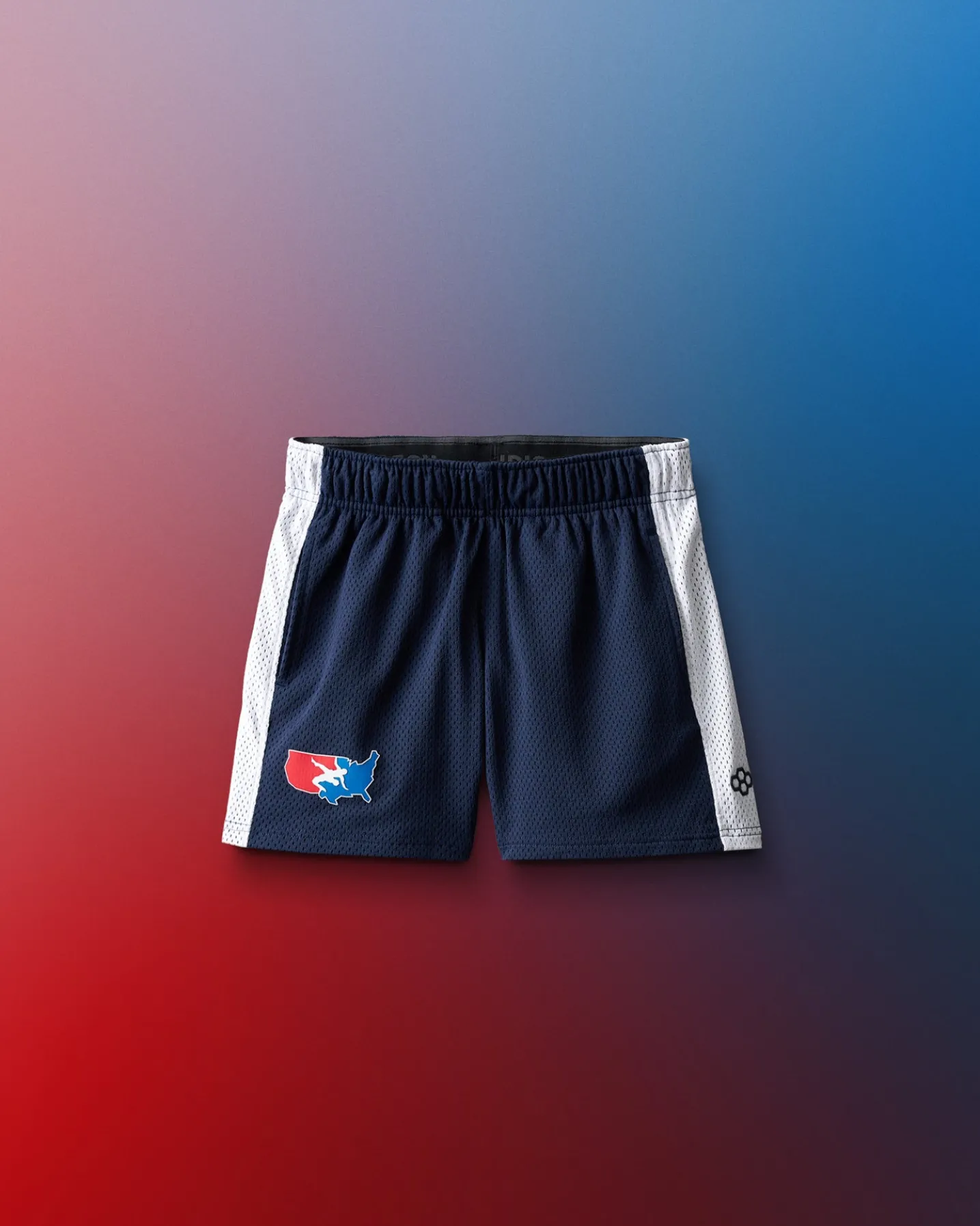 USA Wrestling 5" Premium Panel Youth Mesh Shorts