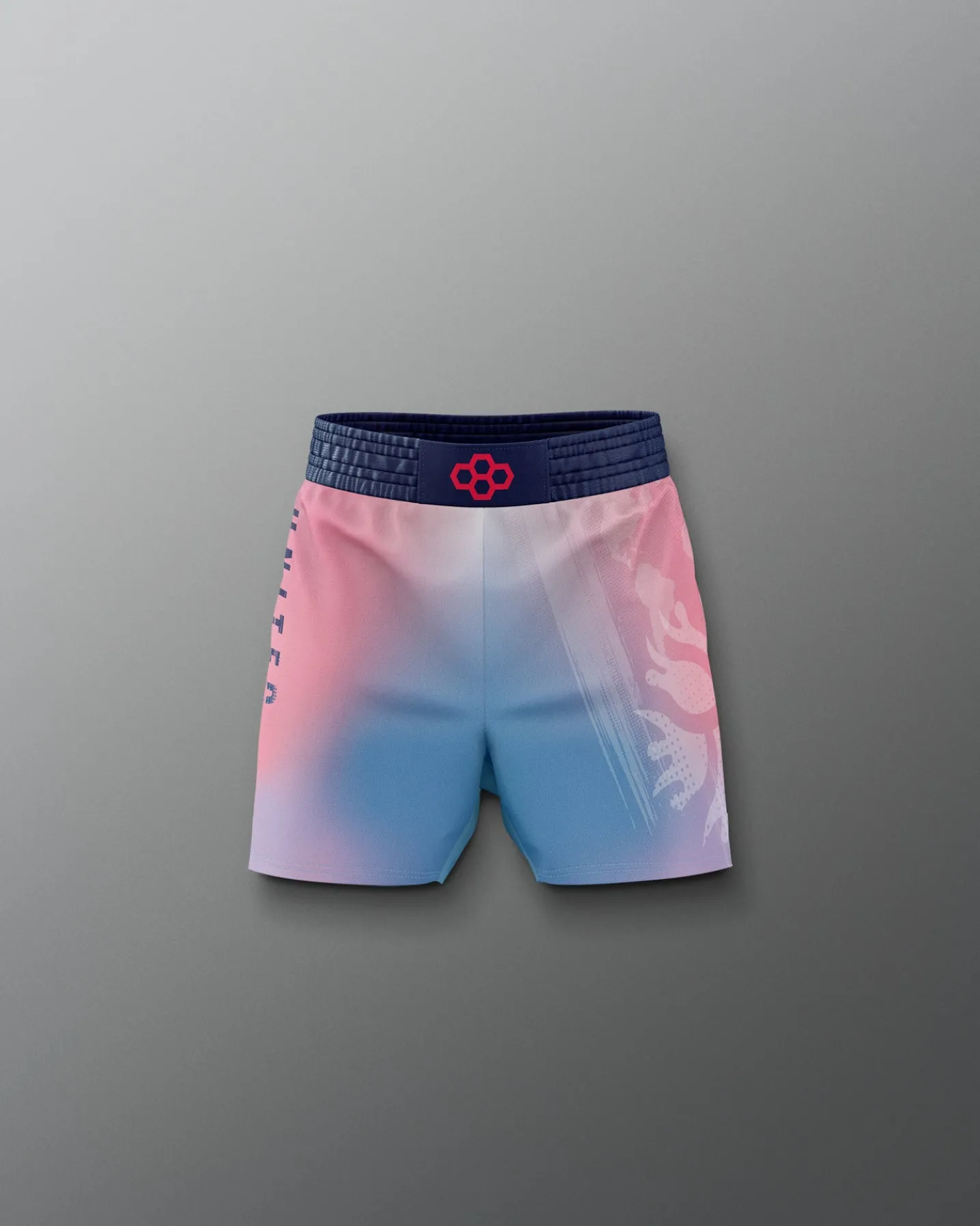 UWW Gradient Boy's Elite Shorts